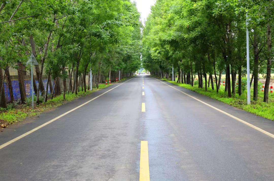 肥城：“一路一景”载着幸福出发 - 图2