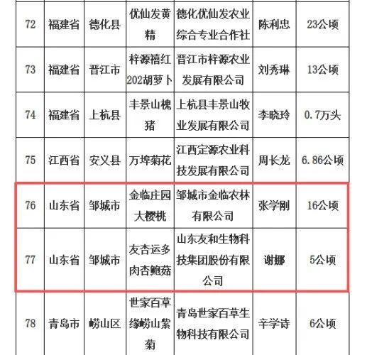 全国名特优新农产品，张庄红薯上榜 - 图4