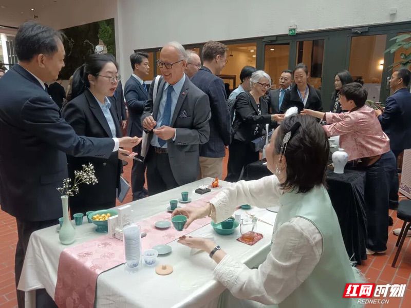 湖南经贸文旅推介会走进芬兰 重点推介大张家界国际旅游区 - 图3