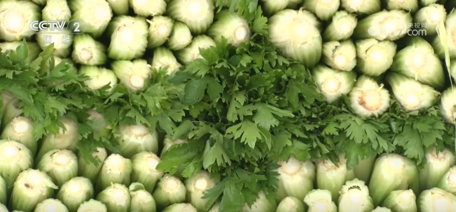 5月份“菜篮子”价格波动回落 蔬菜价格保持季节性下行 - 图2