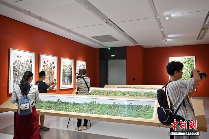 广州：“葵山——许江艺术展”媒体导览活动举行 - 图4