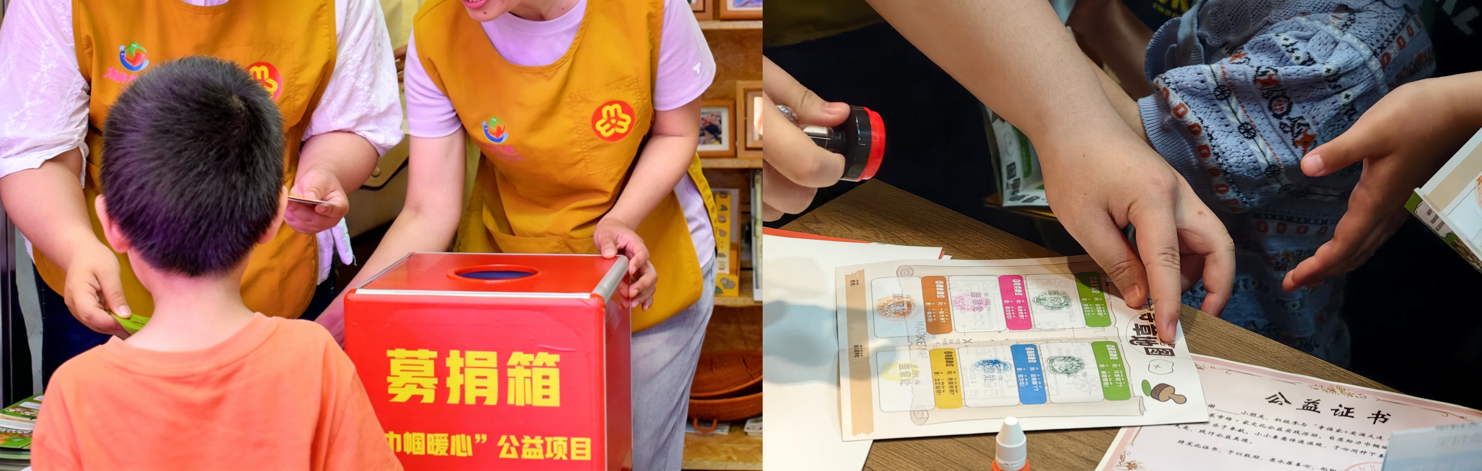 一颗土豆的“科学魔法”：“土豆逗科普少年团”在国际马铃薯日成立 - 图9
