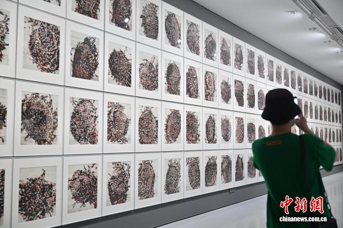 广州：“葵山——许江艺术展”媒体导览活动举行 - 图3