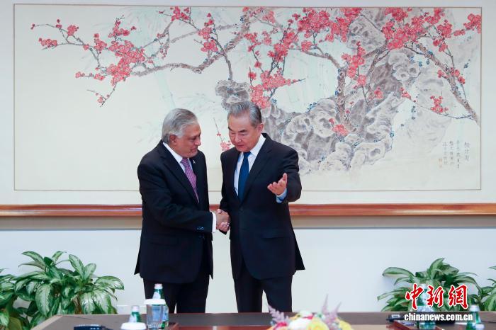 王毅会见巴基斯坦副总理兼外长达尔 - 图1
