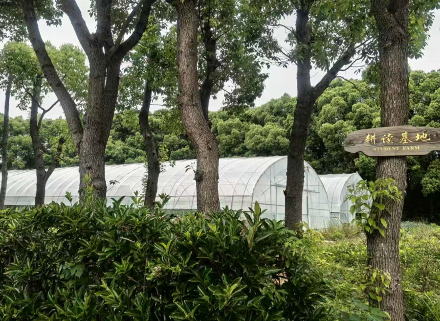 激发青少年“三农”热情，交大播下农业创新的种子 - 图3