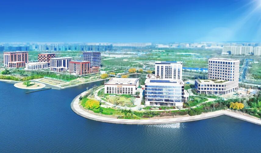 疯狂的石头，硬气的河南│豫观察 - 图4
