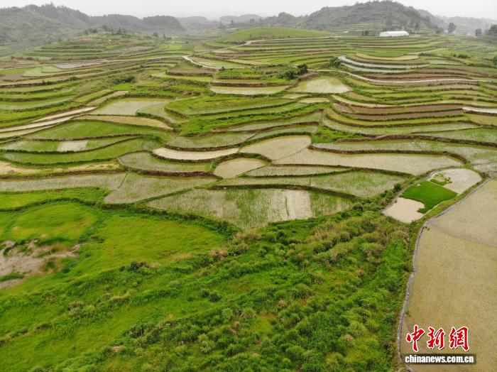 贵州平坝：雨后田园美如画卷 - 图8