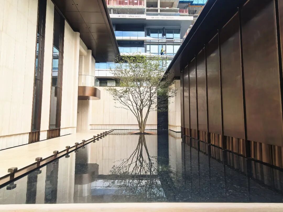品质为王，口碑载道！天健·湾TIME，湾区低密新规好房样板 - 图9