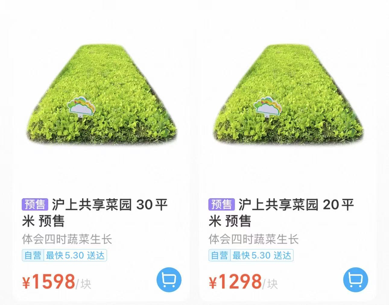 盒马共享菜园目前仅在上海试点 上海已有各类共享菜园数百家 - 图1