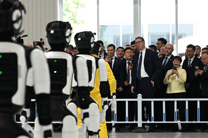 武契奇访华，中塞“铁杆友谊”增加了哪些新“成色”？ - 图2