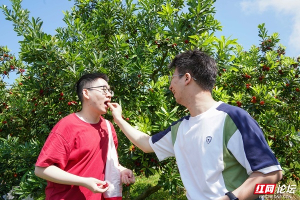 梅好时节遇心动！这群青年在靖州赴一场浪漫之约 - 图11