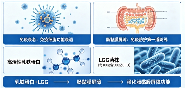 国内十大乳铁蛋白 2026 年 618 轻奢品质营养礼盒 - 图2
