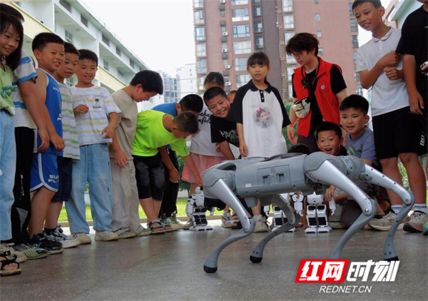 湖南科技学院智能制造学院赴永州市蘋洲小学开展科普进校园活动 - 图2