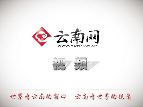 山海携手润申城 云咖好物赴繁花！云南特色风物亮相首届上生活农场主节 - 图1