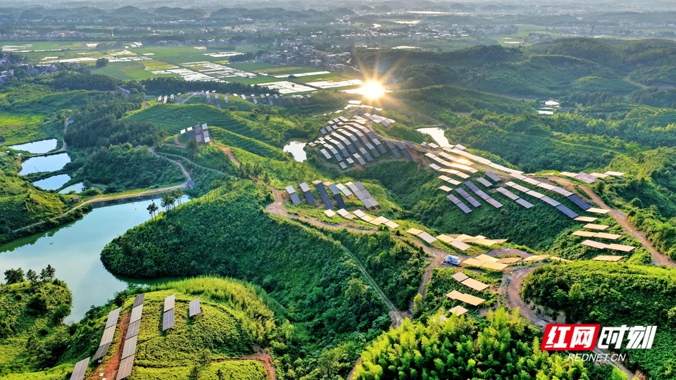 常宁：光伏发电 荒山变“金山” - 图2