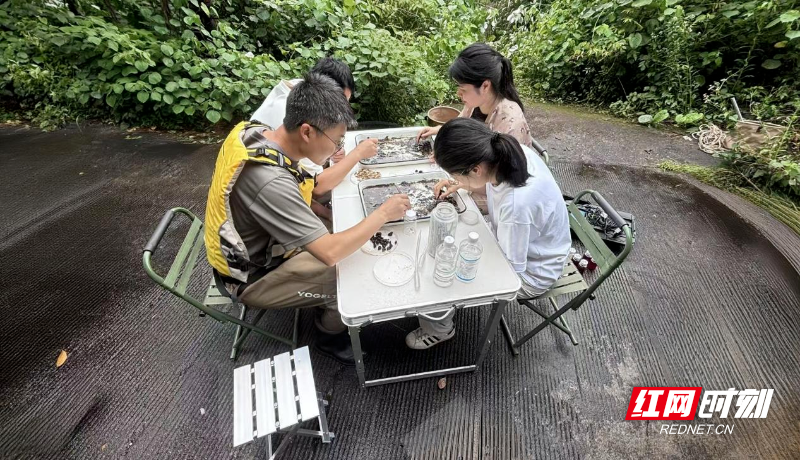 郴州市对国省控断面开展春季水生态调查监测 - 图1