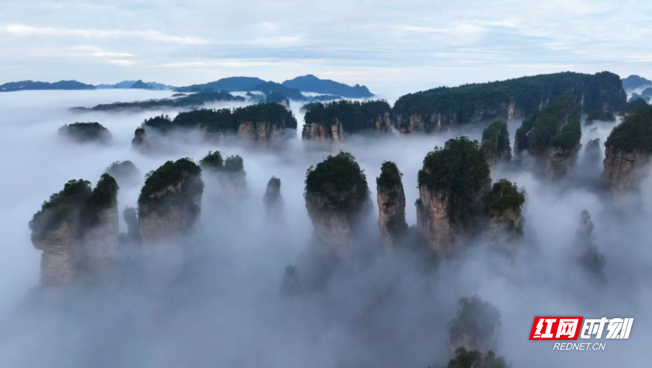 雾天寻仙问道 晴天勘探地貌 百变张家界尽显绝版风华 - 图1