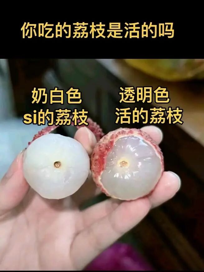 果肉呈乳白色的是“死荔枝”？真相来了，扩散周知 - 图1