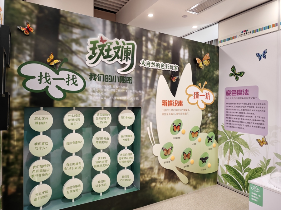 “嗨，我是蝴蝶”，上海儿童博物馆开馆三十周年特展揭幕 - 图1