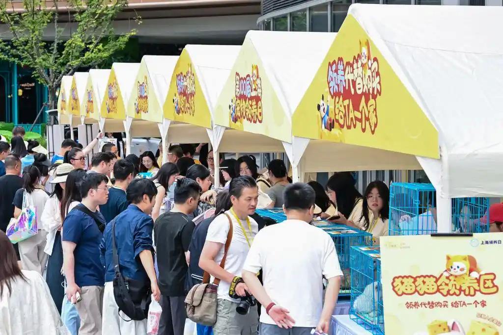 探索人宠友好新场景，第100届上海宠物领养日启幕 - 图2