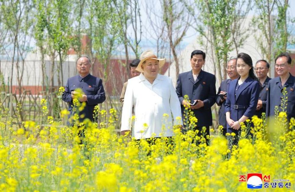 金正恩携女儿视察温室农场 - 图4