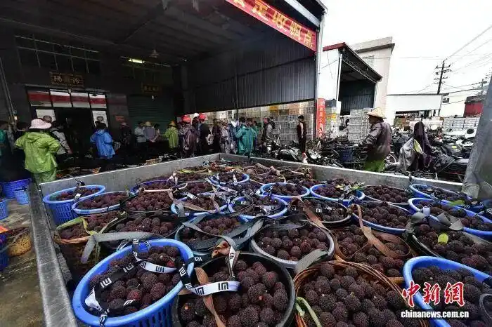 “从6元跌到1元，还是卖不出” - 图1