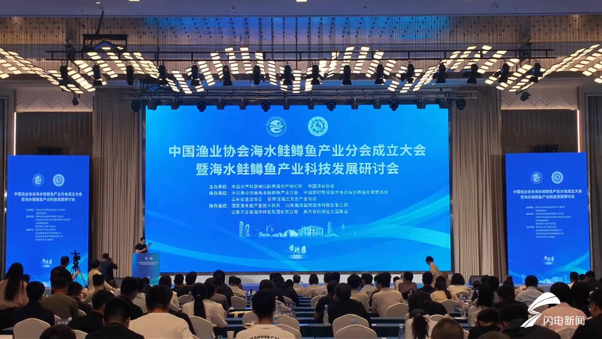 日照深海三文鱼收获现场连线 多项产业标准同步发布 - 图1