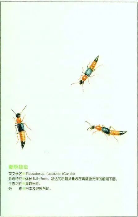 知名男歌手演唱会一个动作引网友担忧：或导致皮肤溃烂！ - 图10