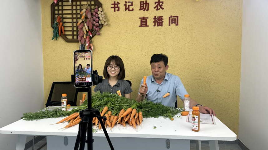 机器一过，胡萝卜自己“蹦”进袋子！直击青岛莱西田间“黑科技” - 图2