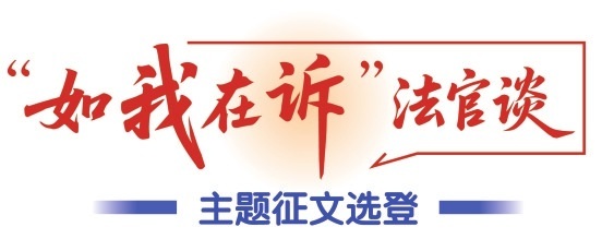 如我在诉：从乡间小路到审判台的司法修炼 - 图1