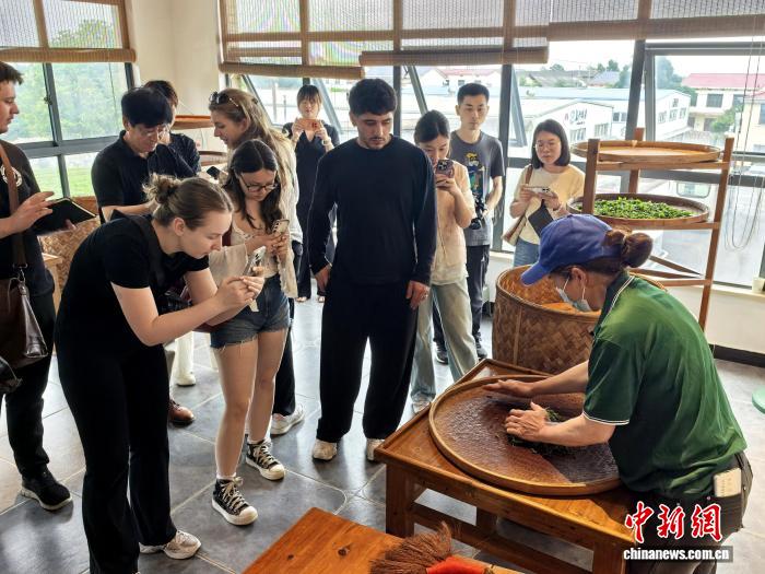 聚焦基层治理产业升级 德国青年长沙探寻乡村发展路径 - 图3