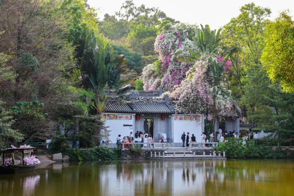 美丽中国行丨深圳：低碳风尚成就美好日常 - 图3