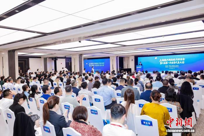 “湘”约浦江 “沪”通未来 上海振兴湖南经济联谊会换届 - 图1