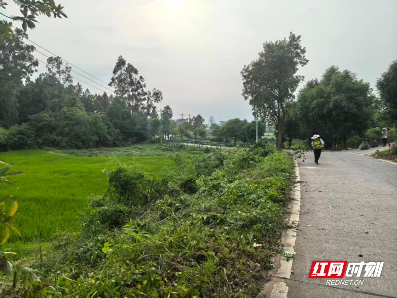 安仁县渡口乡：消除弯道“盲区” 守护百姓出行 - 图3