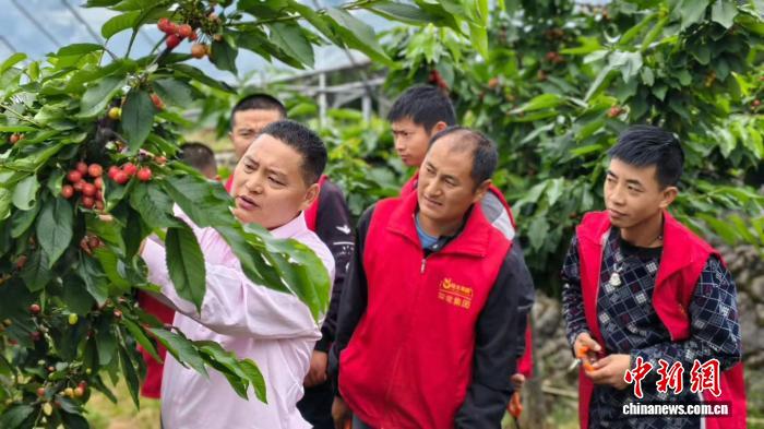 身残志坚逐梦巴山 四川宣汉残障“小龙哥”带44名残障同伴向阳而行 - 图1