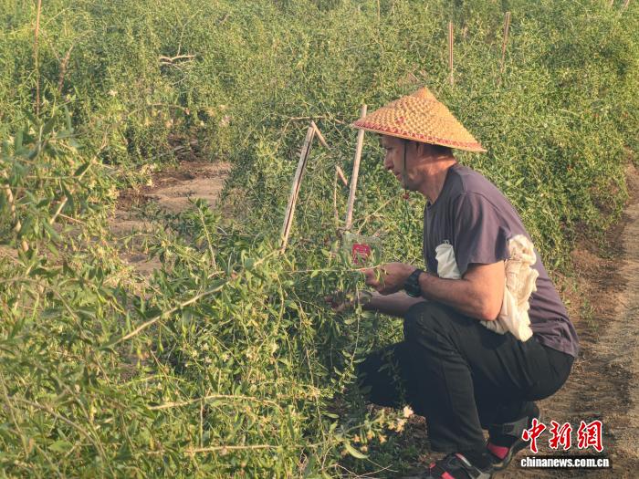 中亚主流媒体采访团走进新疆博州 - 图2