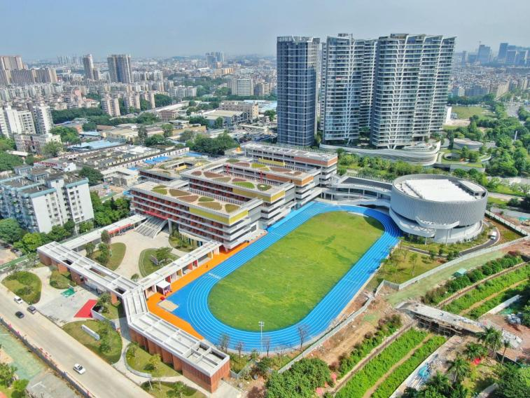 青松立峰，乔木成林！白云教育打造优质均衡新生态 - 图2