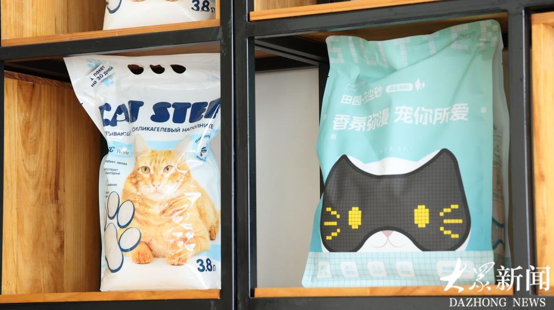 在“县”T0级丨滕州：全球每10袋硅胶猫砂，4袋出自这里 - 图2