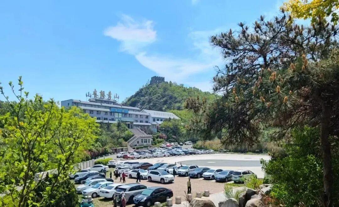 六一撒欢儿！山东16市这样遛娃这样玩 - 图47