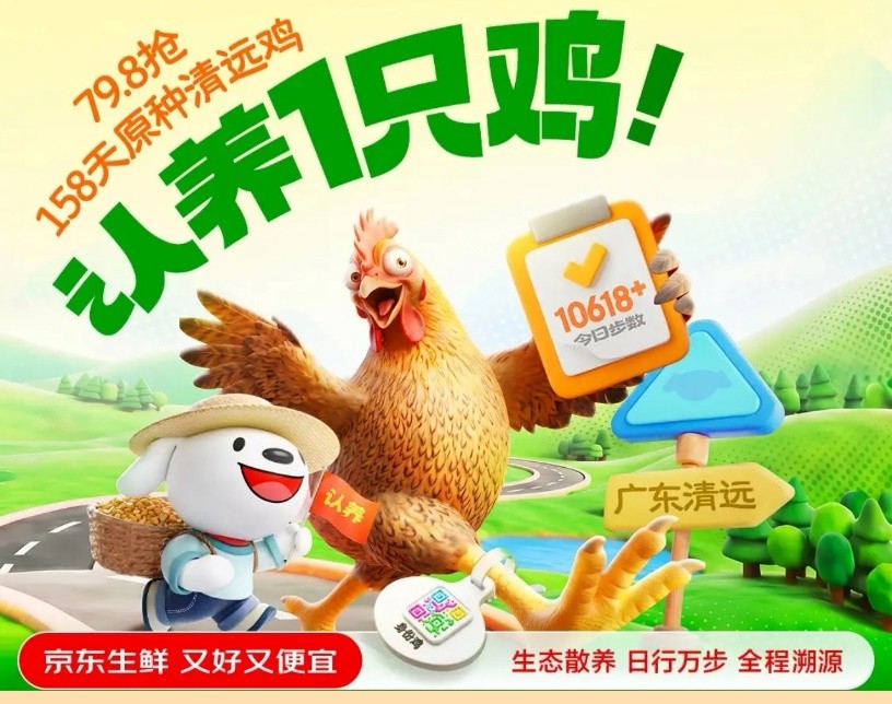 包下十几片山头养鸡！京东生鲜“包园”清远跑步鸡，每只鸡多返3元给农户 - 图5