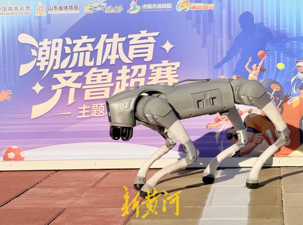 好运山东，运动惠民！2026山东省体育消费季暨济南市第四届潮流体育消费季欢乐启幕 - 图12