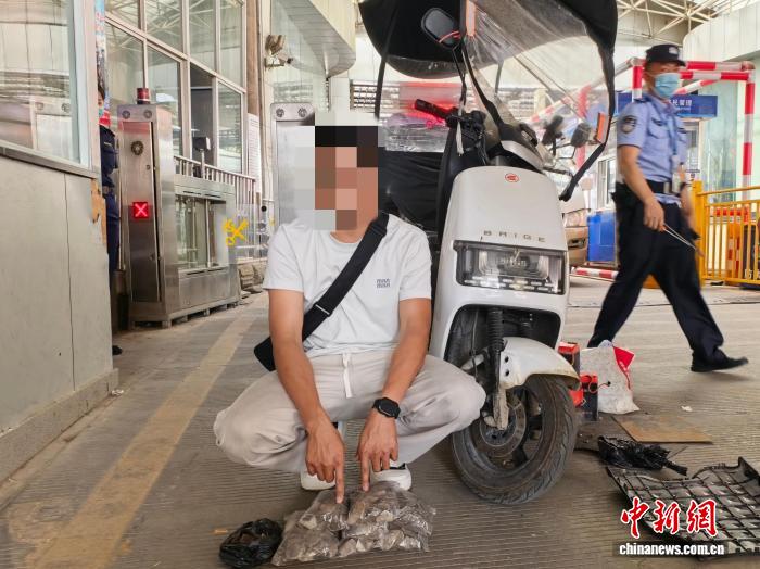 中缅边境瑞丽口岸查获一起野生动物制品走私案件 - 图1