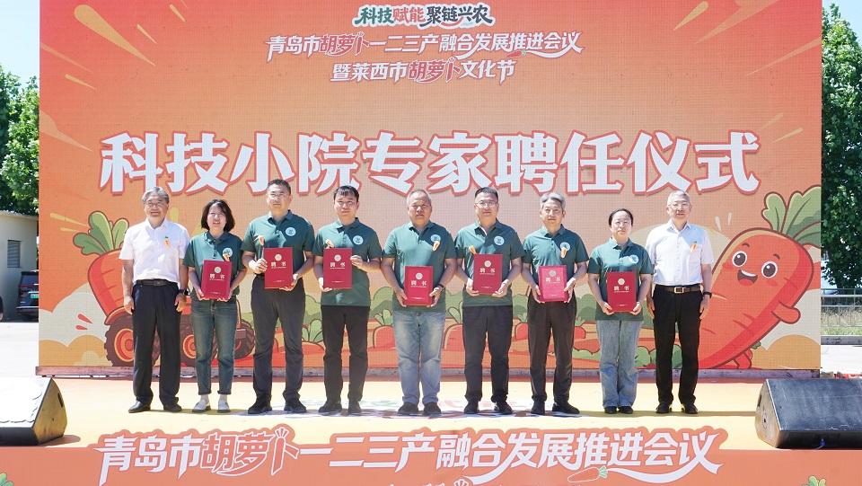 胡萝卜产业科技小院集群揭牌！青岛农业大学以科技小院为支点深度服务青岛乡村振兴 - 图4