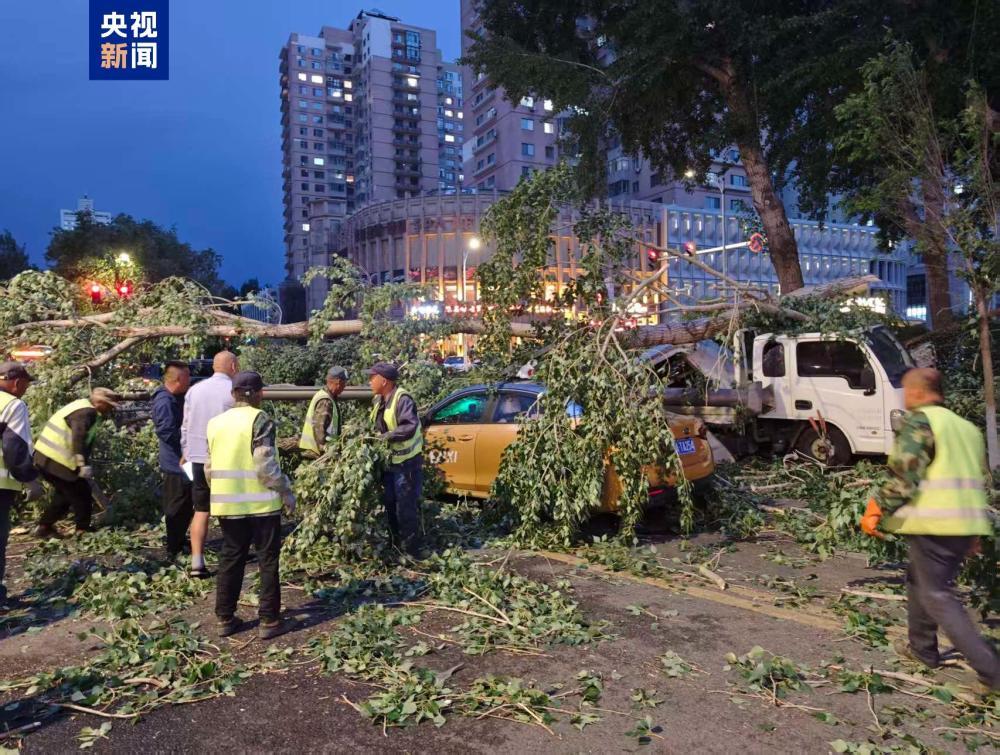 狂风裹挟沙尘席卷哈尔滨，现场直击 - 图2