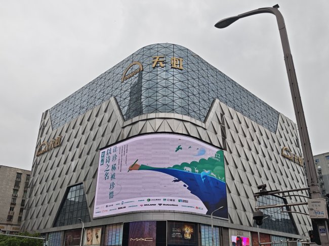 跨界联动，多方共创，第四届「以诗之名·让珍稀被珍惜」写新章 - 图4