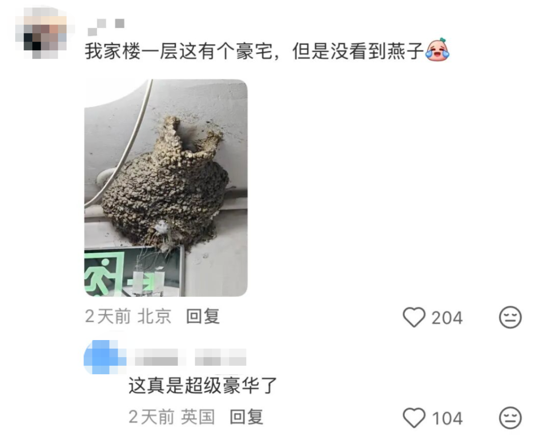 “本人于2026年5月种出了番茄，望周知” - 图24