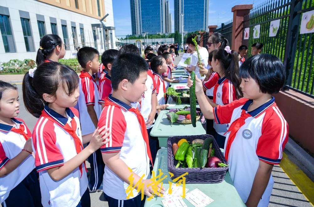 沉浸式探访校园！济南这所学校School-walk活动展现育人硕果 - 图5