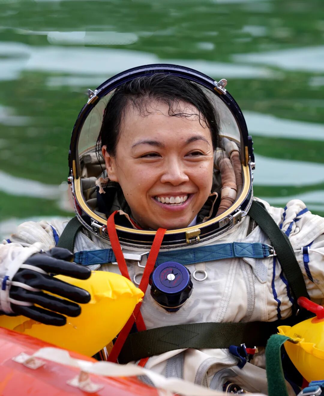 「高考作文素材」家国与梦想——紫荆花绽放星辰大海｜大象夜读 - 图8