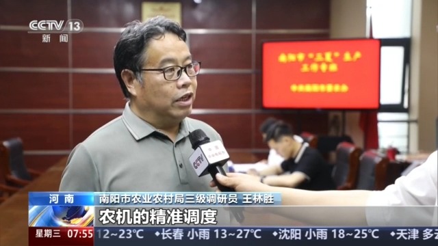 由南向北开镰 全国大规模小麦机收有序进行 - 图3