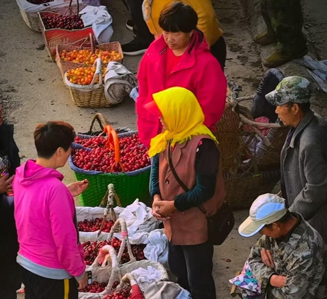 一筐红，一筐金，一筐福山的初夏甜风 - 图7